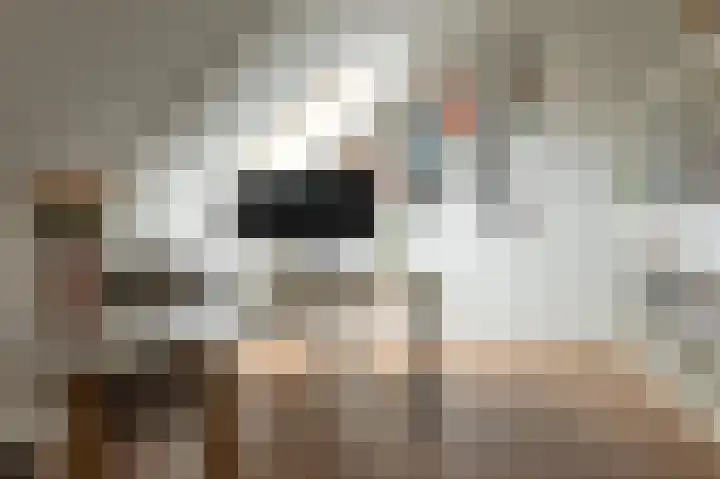 Burefen 212 Drachten thumbnail 39