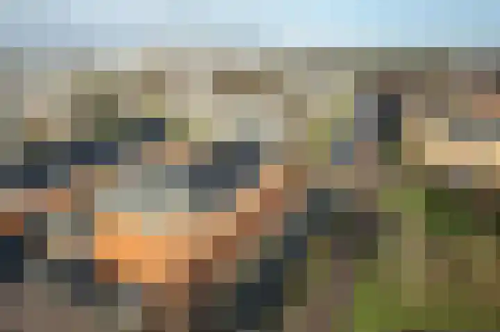 Burefen 212 Drachten thumbnail 51