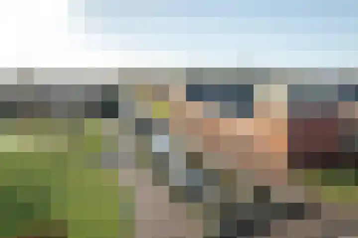 Burefen 212 Drachten thumbnail 52