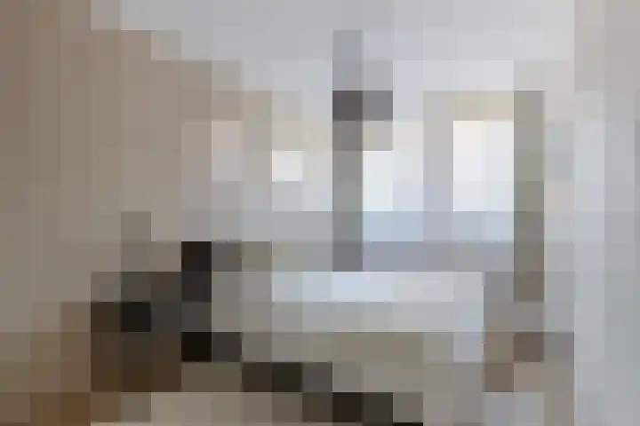 Burefen 214 Drachten thumbnail 19