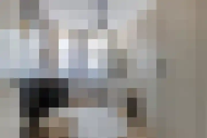 Burefen 214 Drachten thumbnail 23