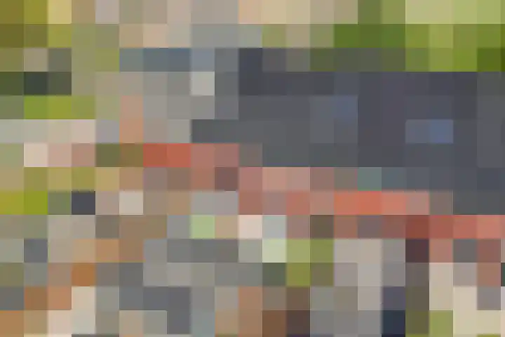 Burefen 214 Drachten thumbnail 38
