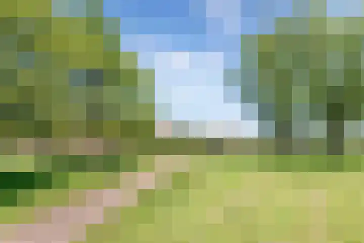 Burefen 214 Drachten thumbnail 43
