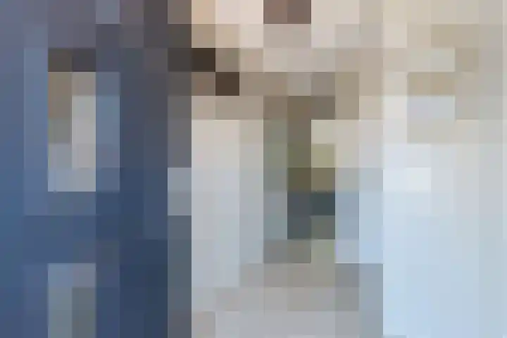 Burefen 214 Drachten thumbnail 5