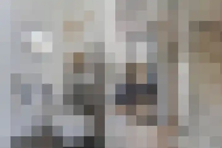 Burefen 214 Drachten thumbnail 6