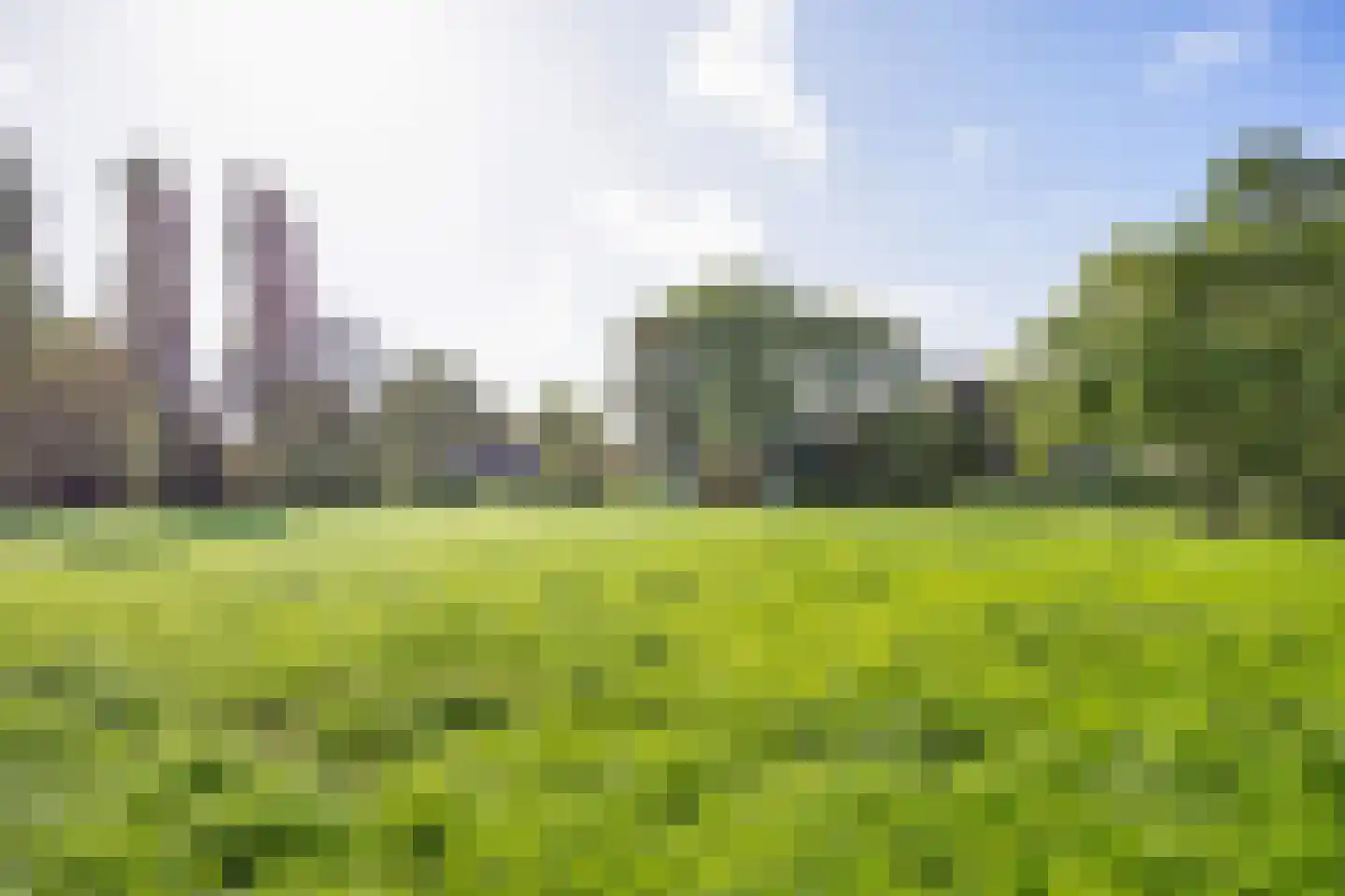 Buren 15 Piaam thumbnail 11