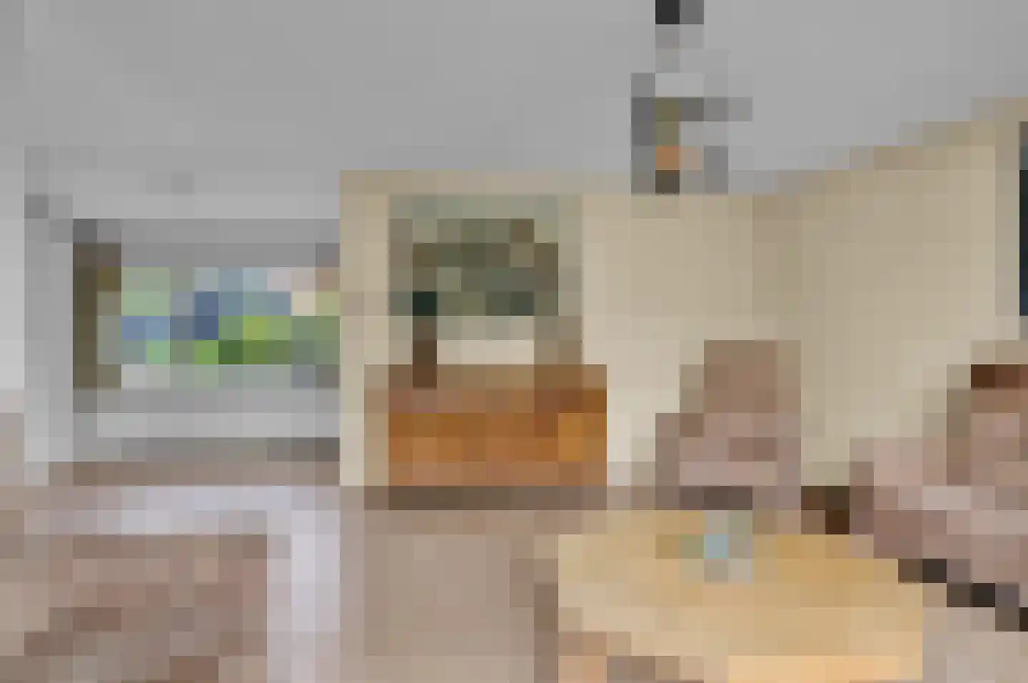Buren 15 Piaam thumbnail 18