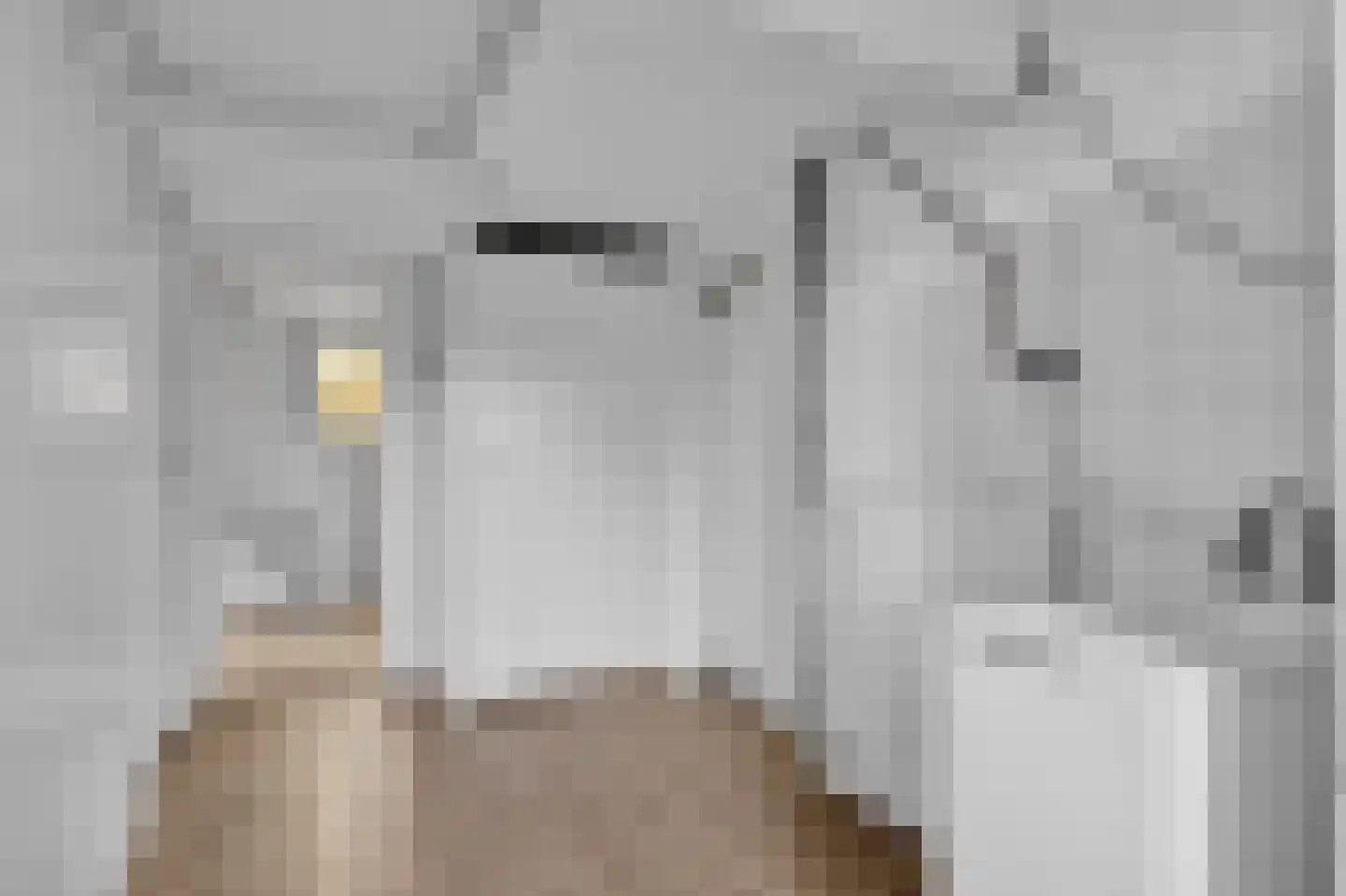 Buren 15 Piaam thumbnail 24