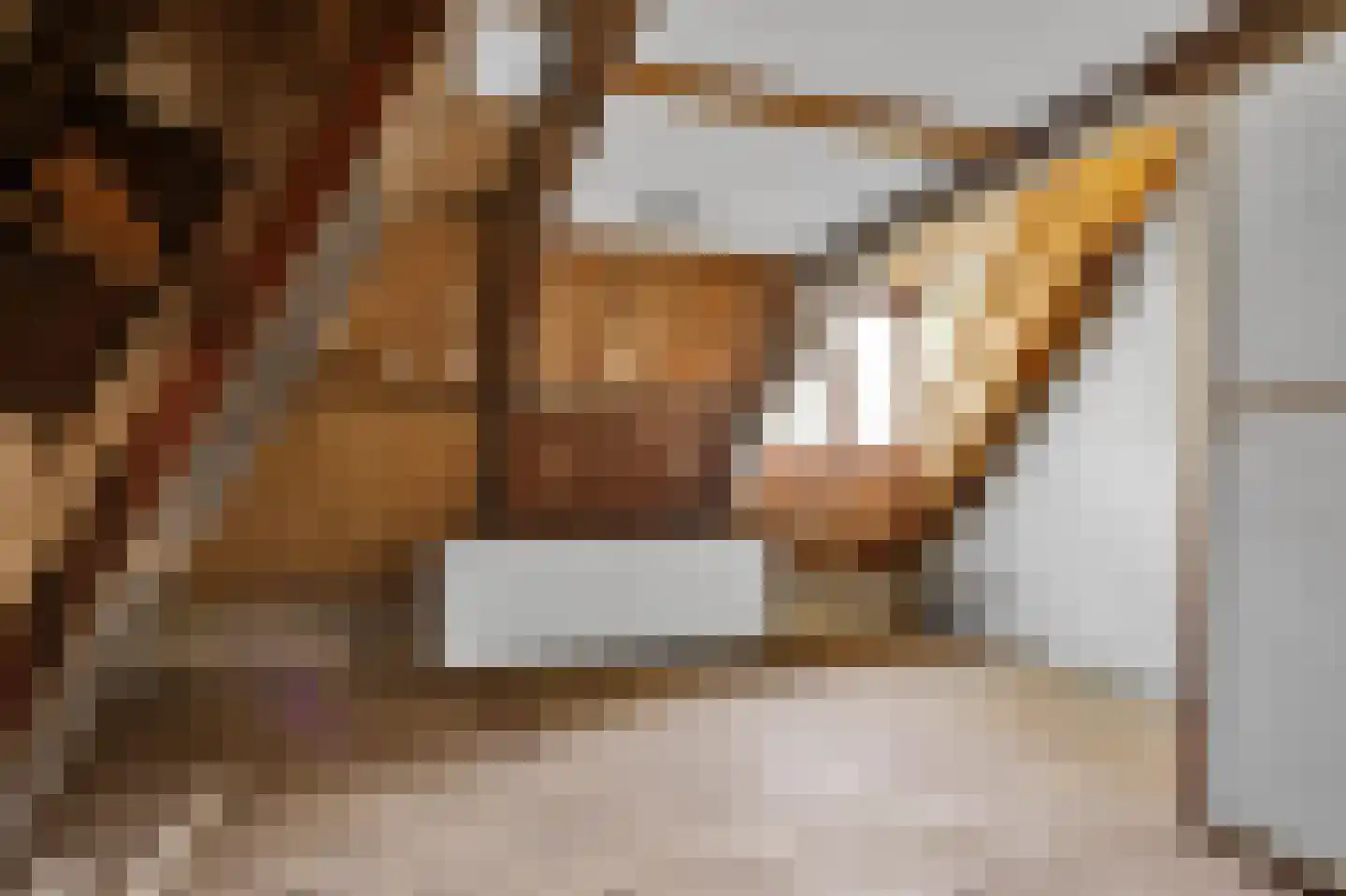 Buren 15 Piaam thumbnail 33