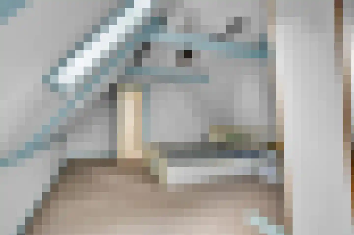 Buren 15 Piaam thumbnail 36