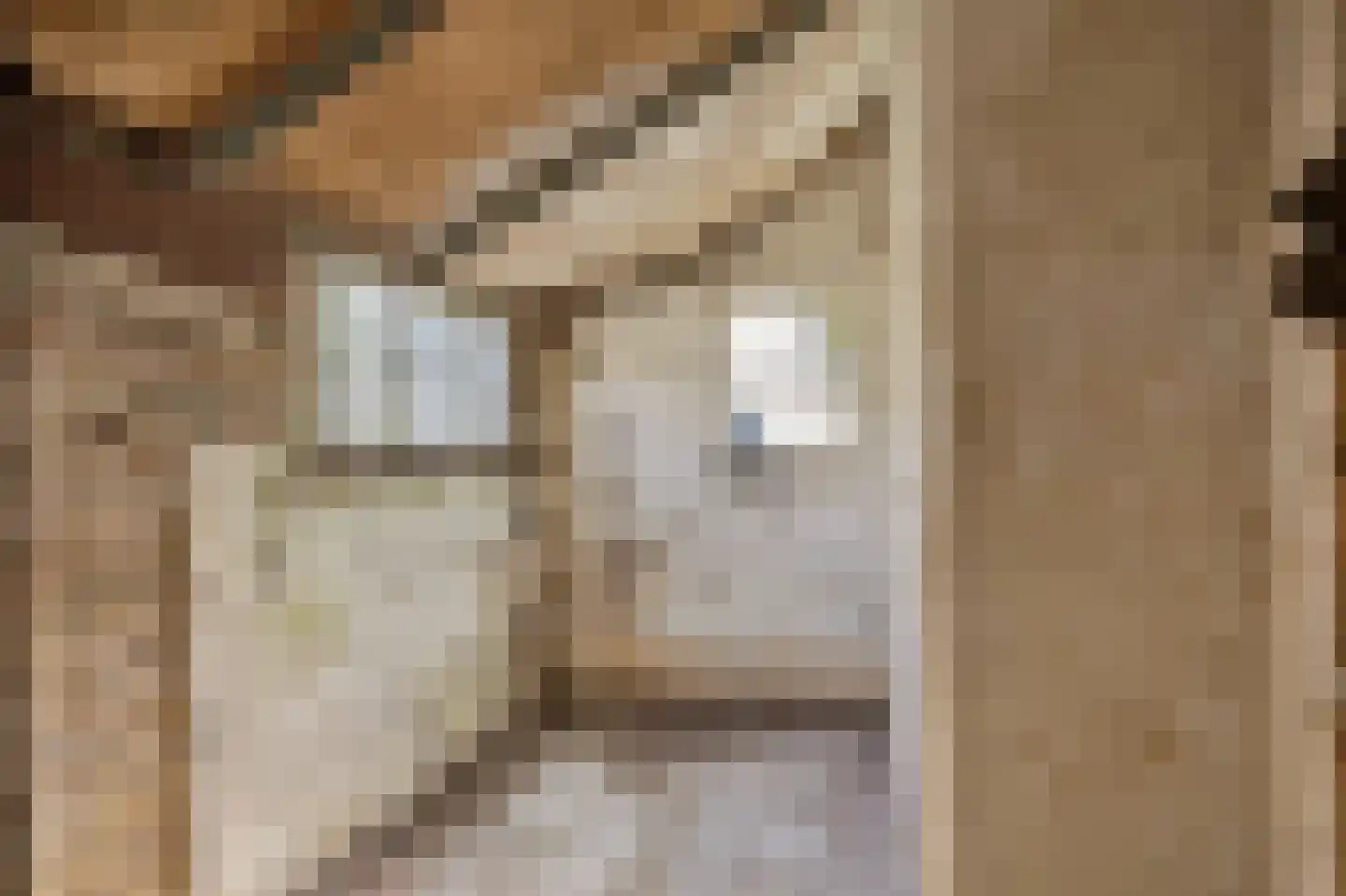 Buren 15 Piaam thumbnail 38