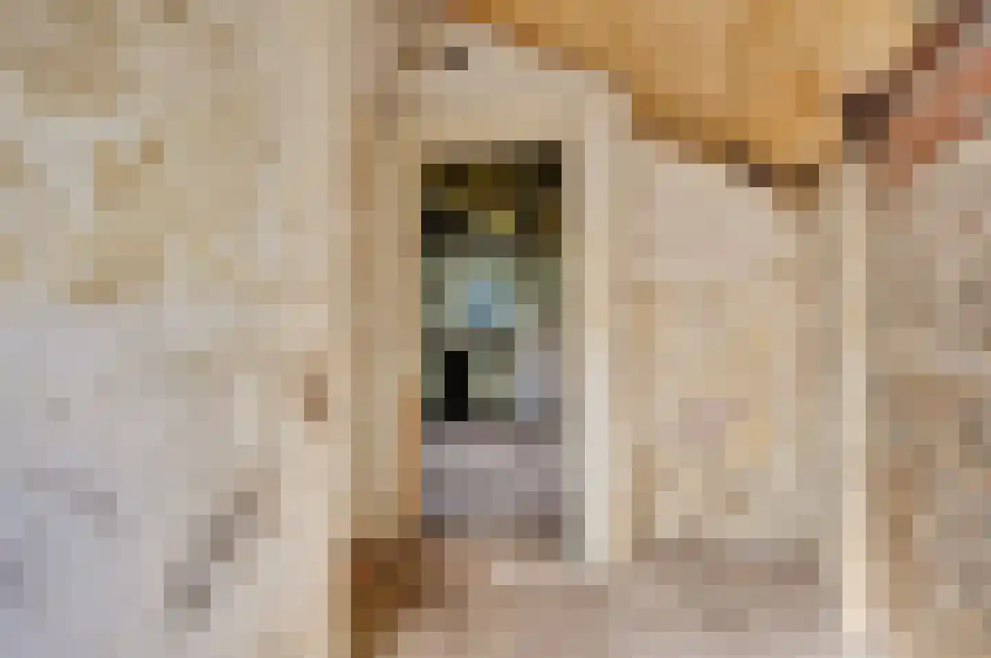 Buren 15 Piaam thumbnail 39