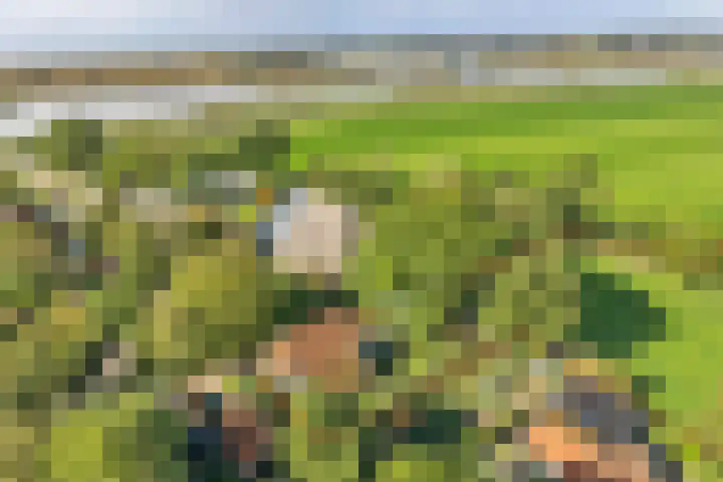 Buren 15 Piaam thumbnail 4