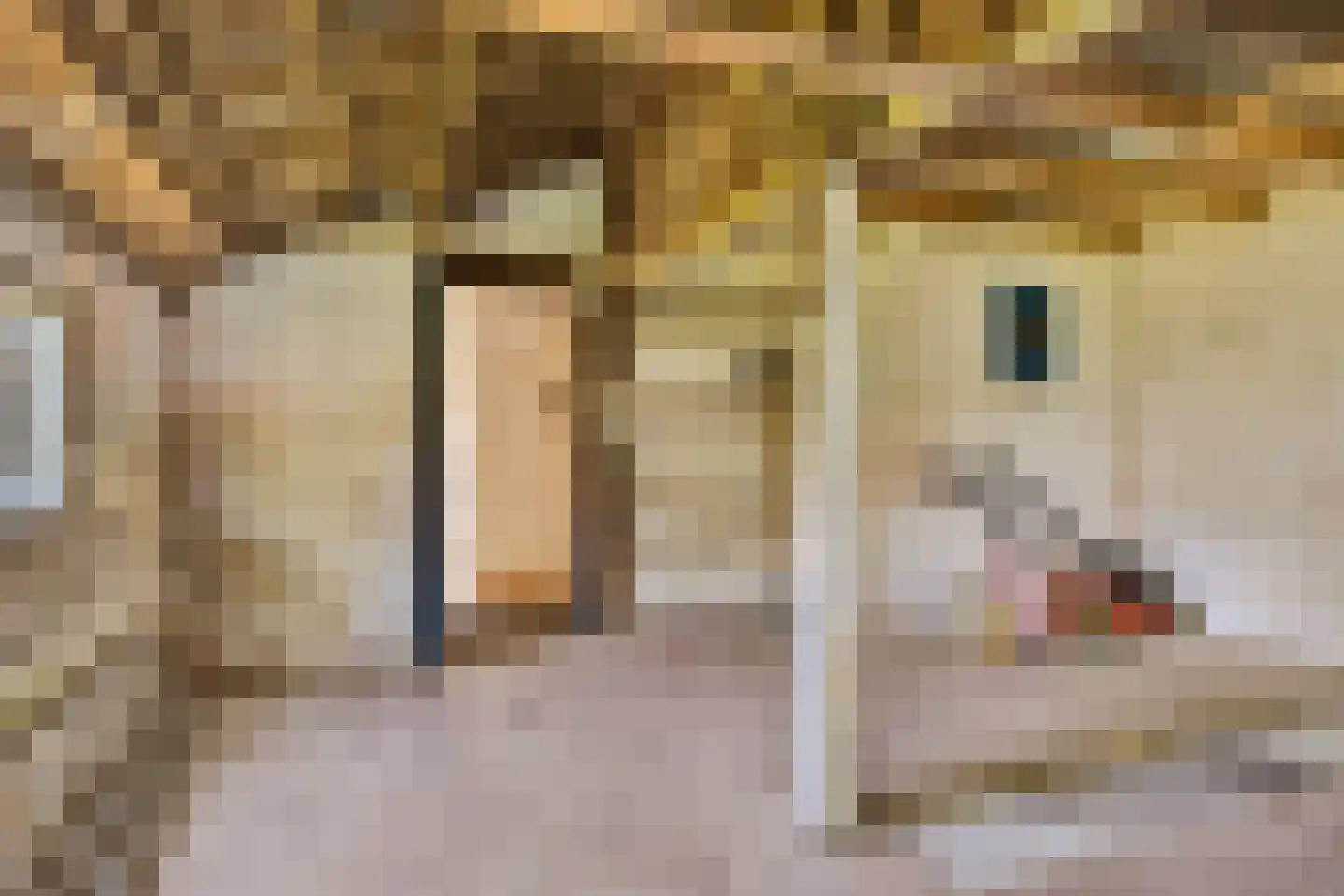 Buren 15 Piaam thumbnail 41