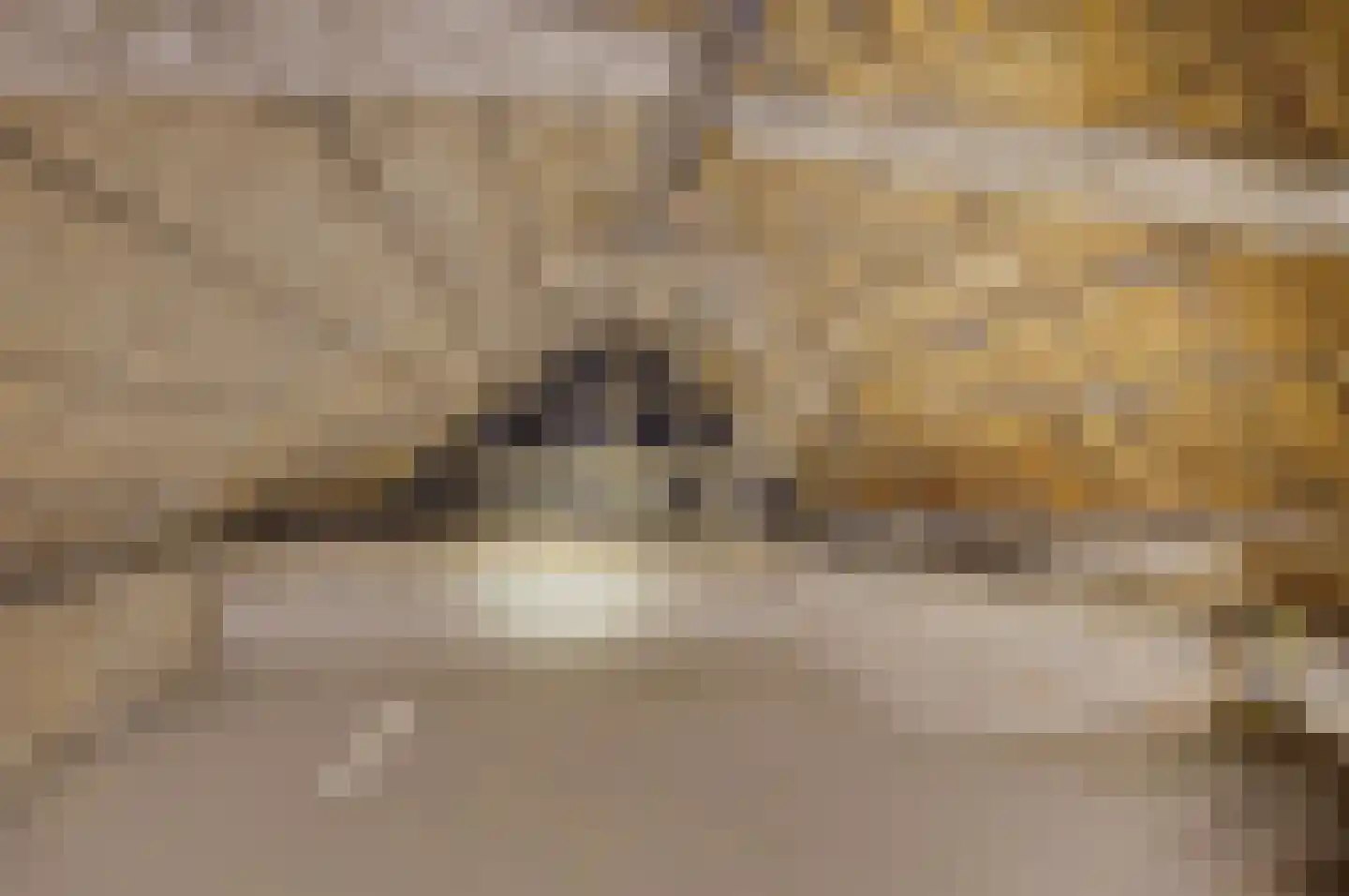 Buren 15 Piaam thumbnail 43