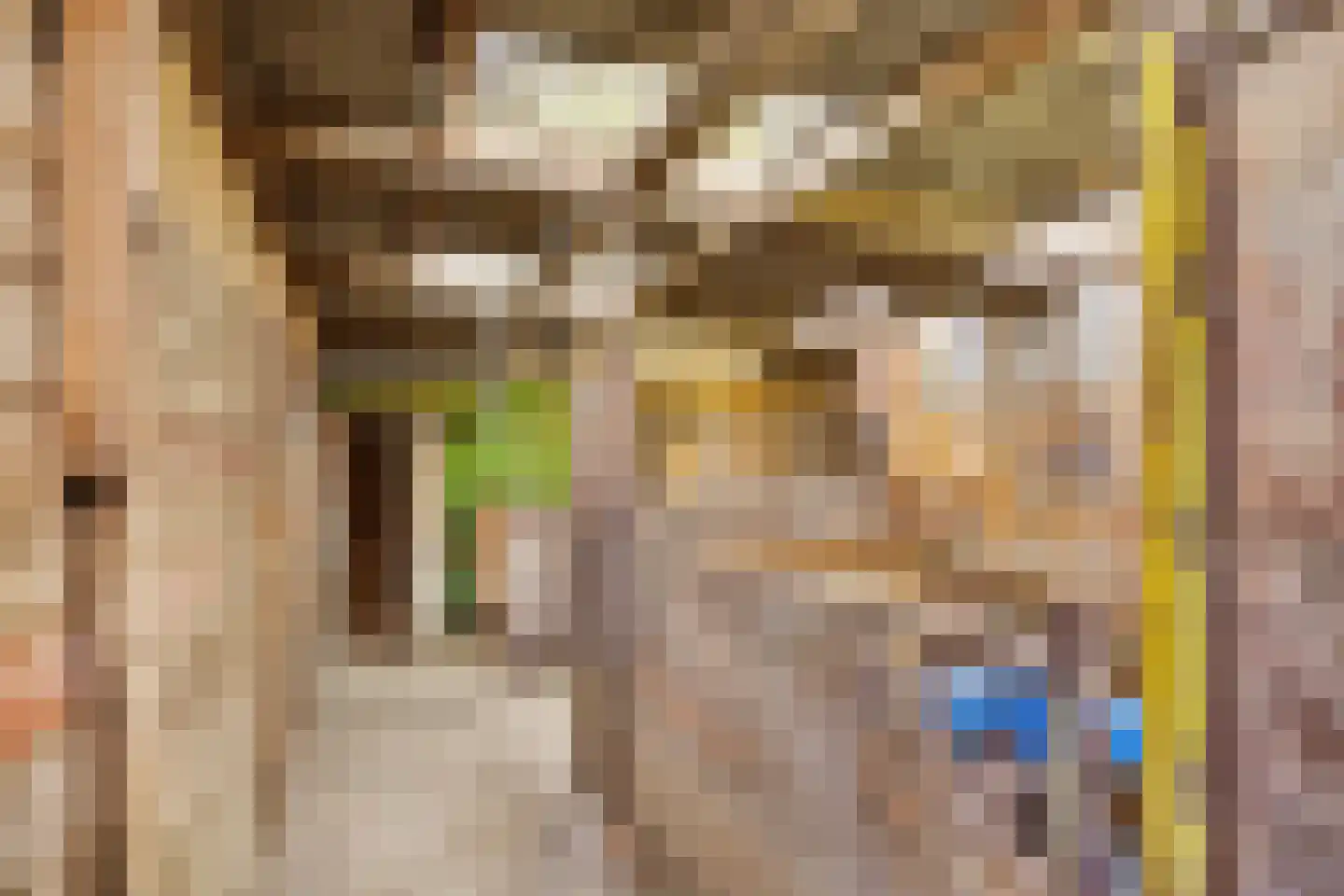 Buren 15 Piaam thumbnail 49
