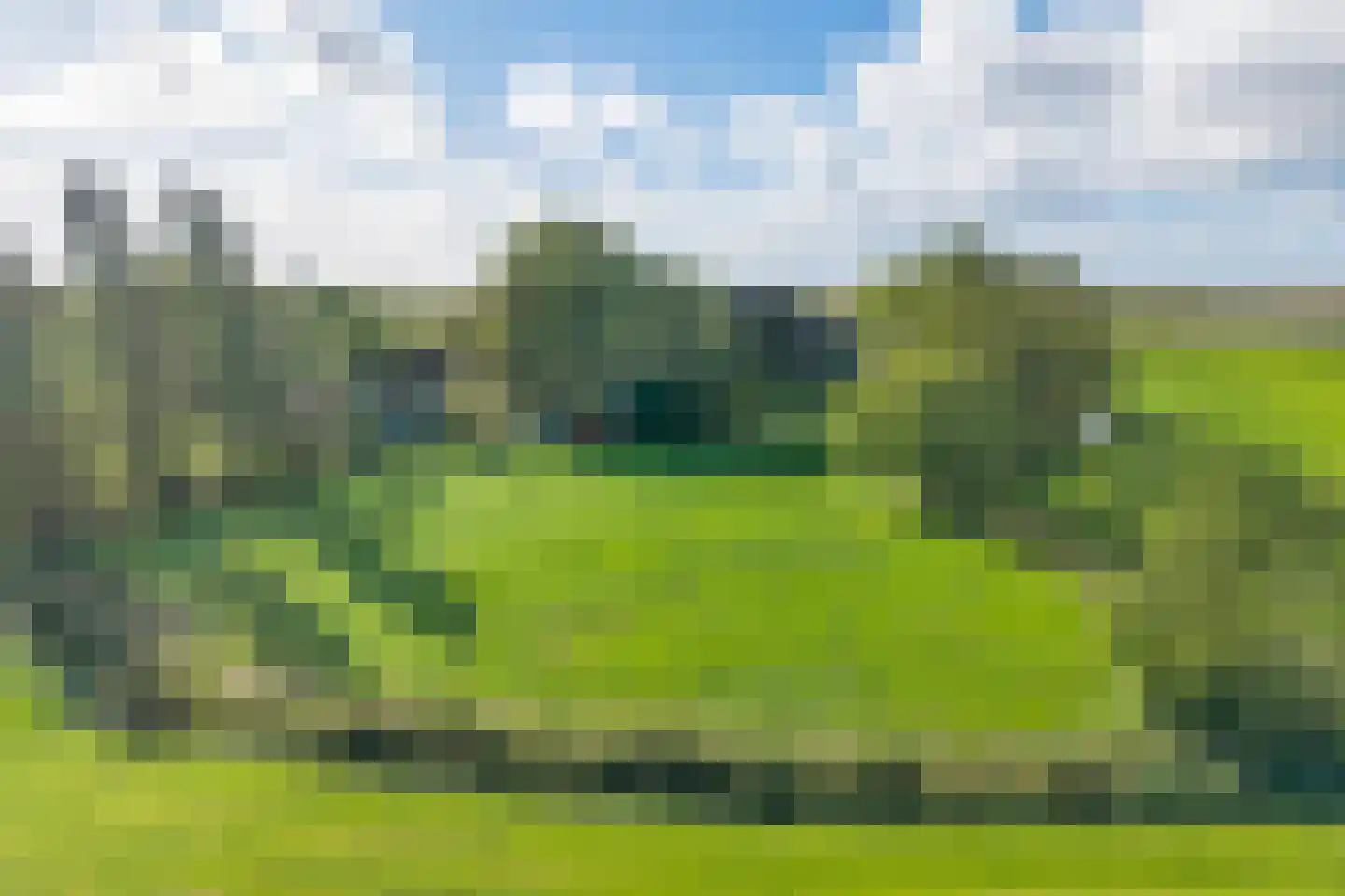 Buren 15 Piaam thumbnail 5