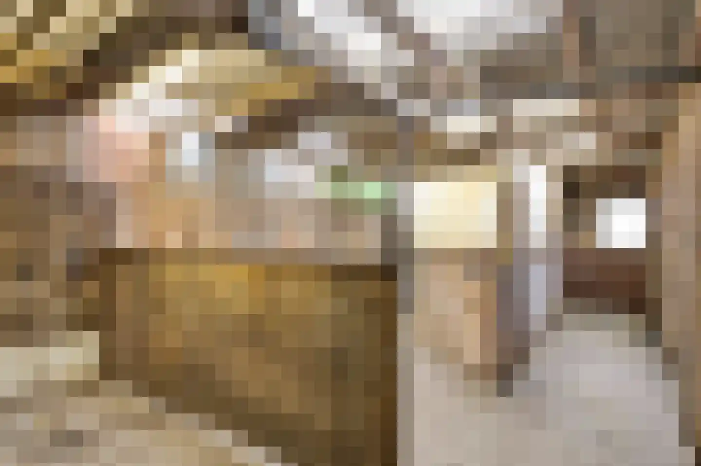 Buren 15 Piaam thumbnail 50