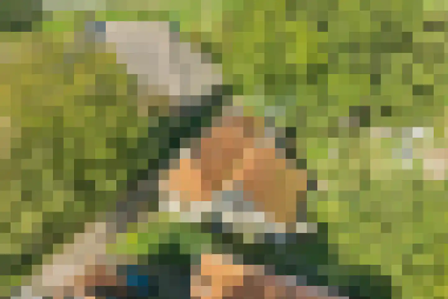 Buren 15 Piaam thumbnail 53