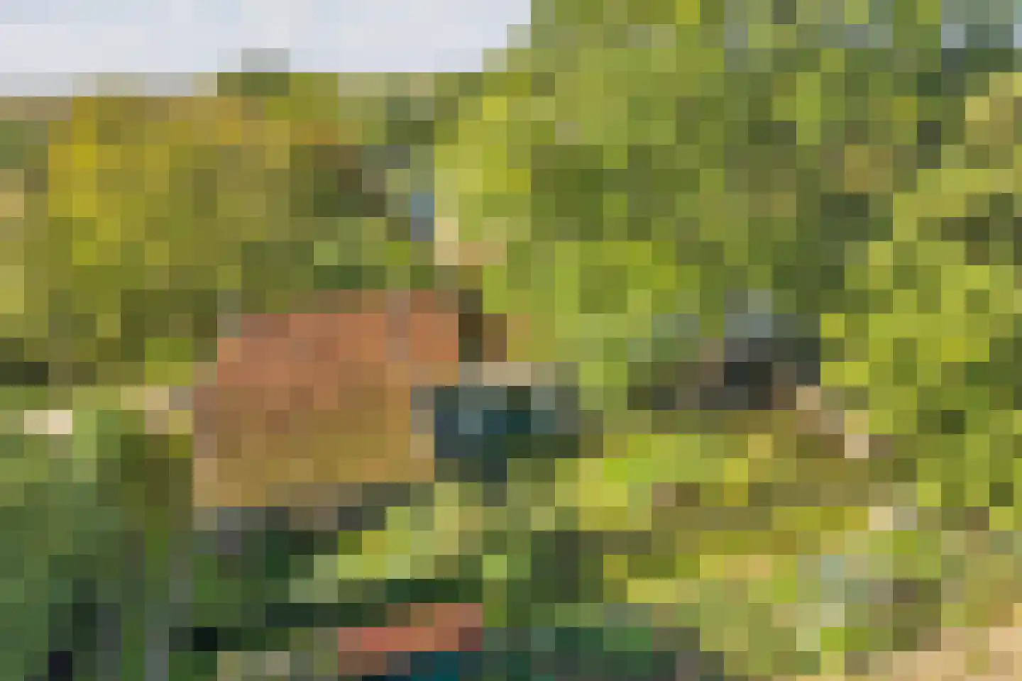 Buren 15 Piaam thumbnail 54