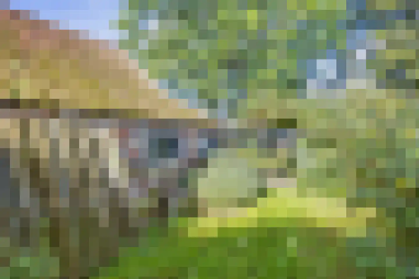 Buren 15 Piaam thumbnail 56
