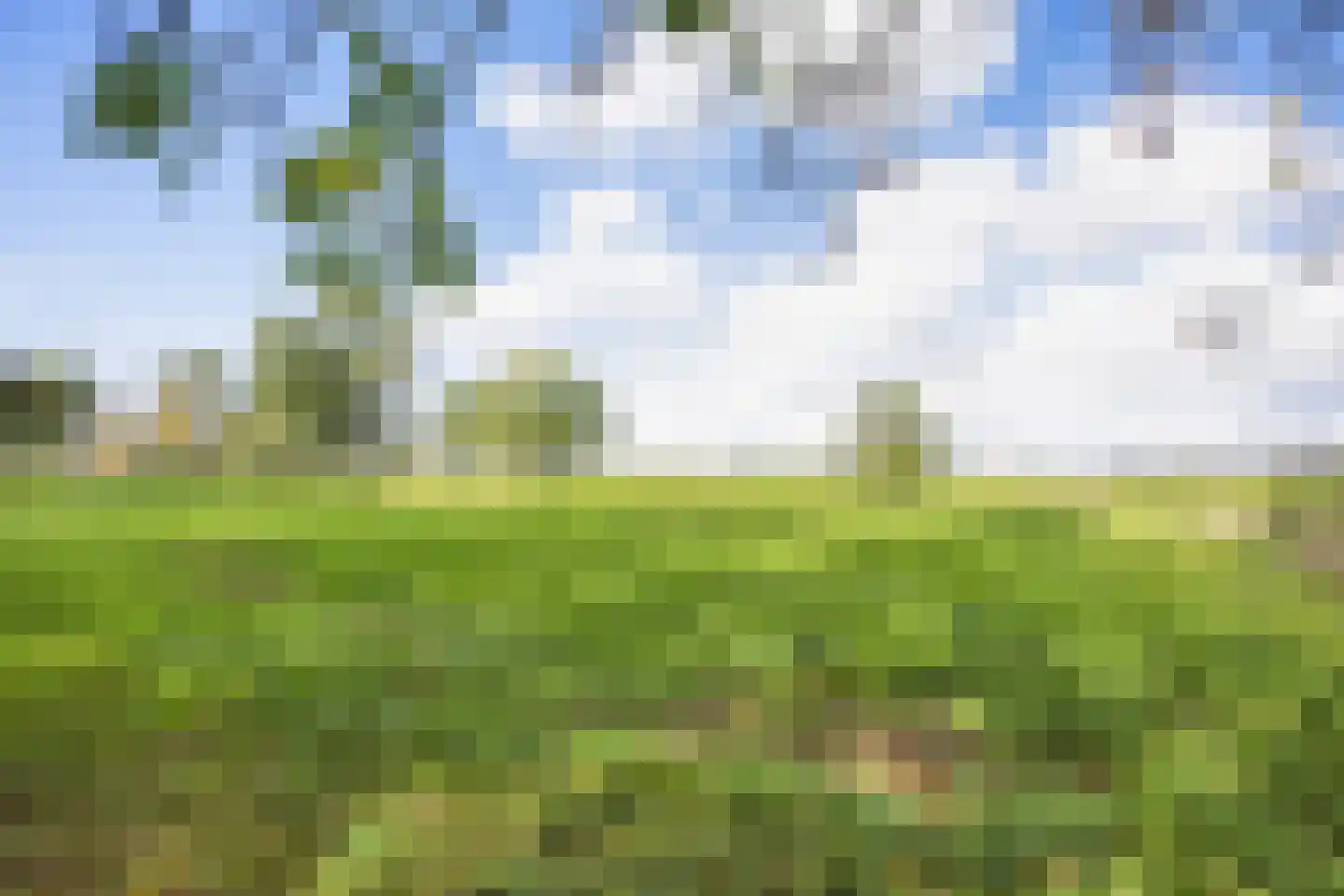 Buren 15 Piaam thumbnail 61