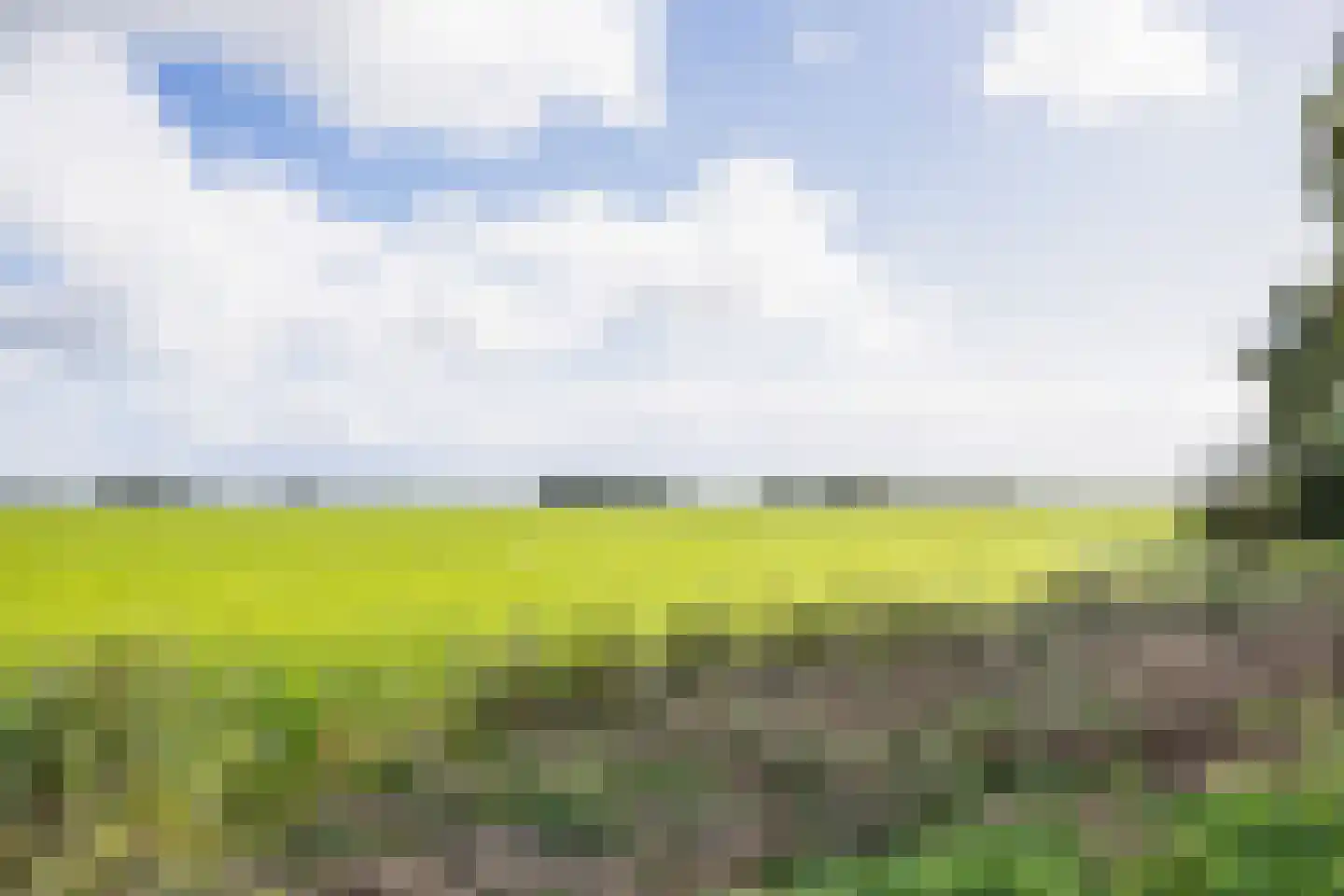 Buren 15 Piaam thumbnail 62