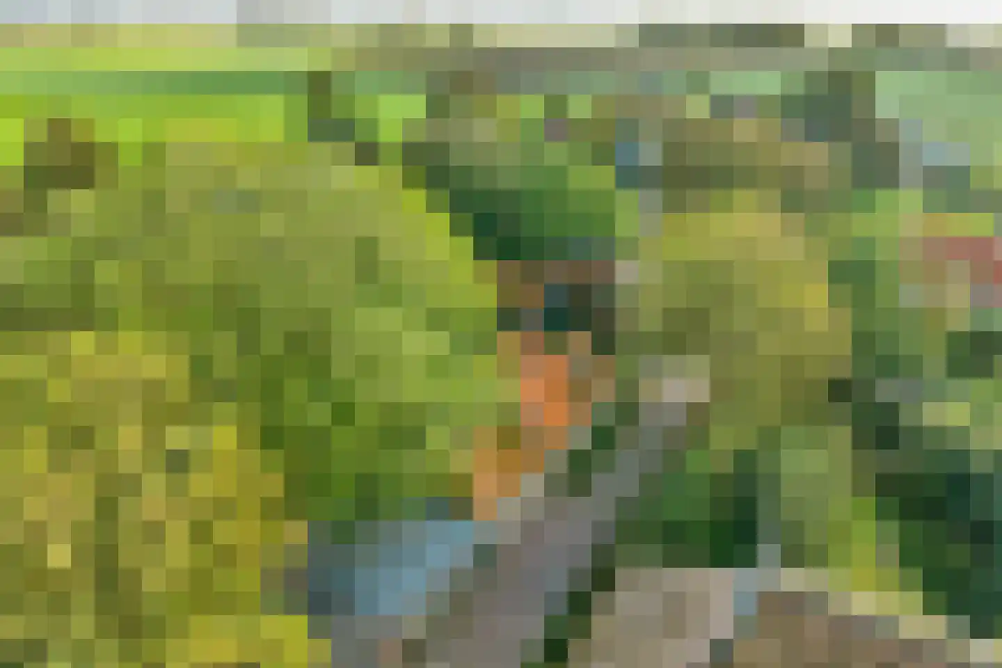 Buren 15 Piaam thumbnail 63