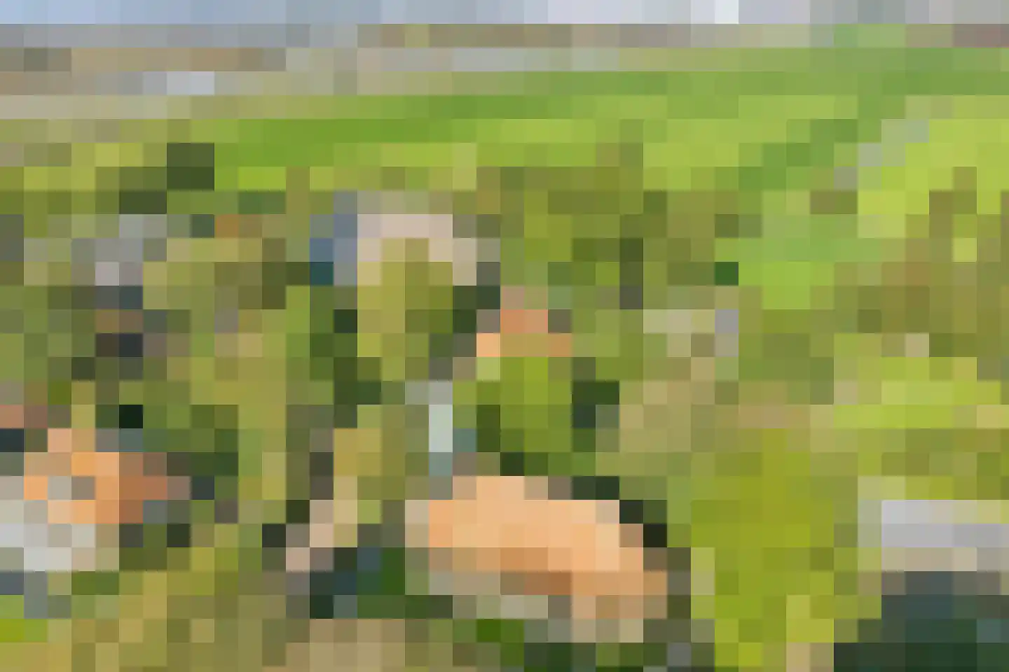 Buren 15 Piaam thumbnail 65
