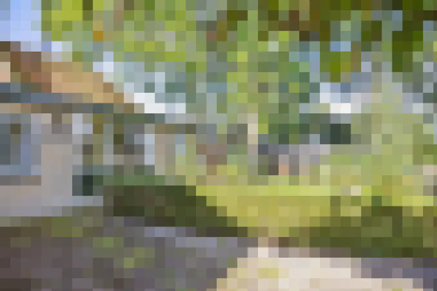 Buren 15 Piaam thumbnail 8
