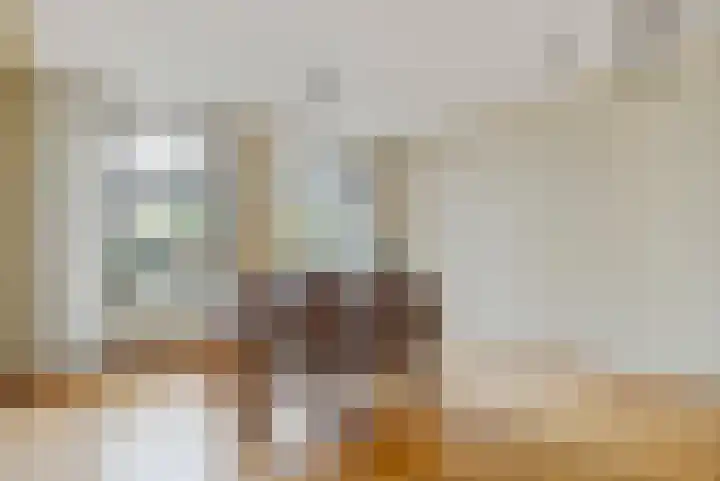 Buren 18 Gaast thumbnail 10