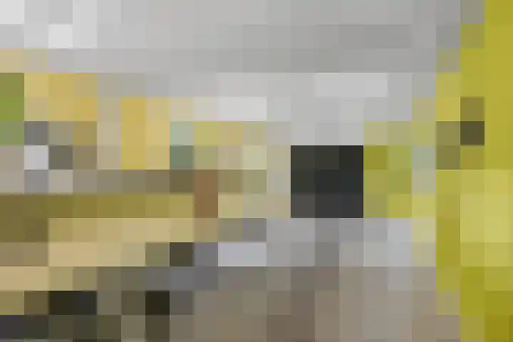 Buren 18 Gaast thumbnail 12