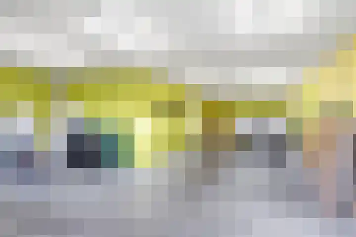 Buren 18 Gaast thumbnail 13