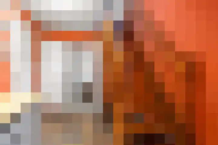 Buren 18 Gaast thumbnail 14