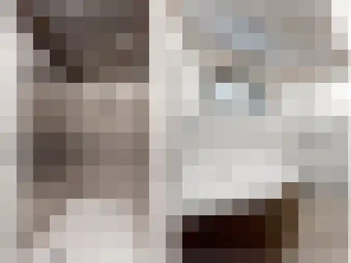 Buren 18 Gaast thumbnail 16