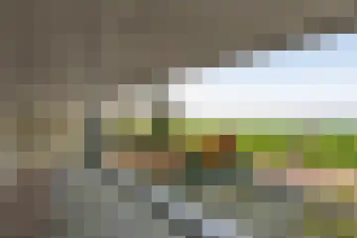 Buren 18 Gaast thumbnail 19