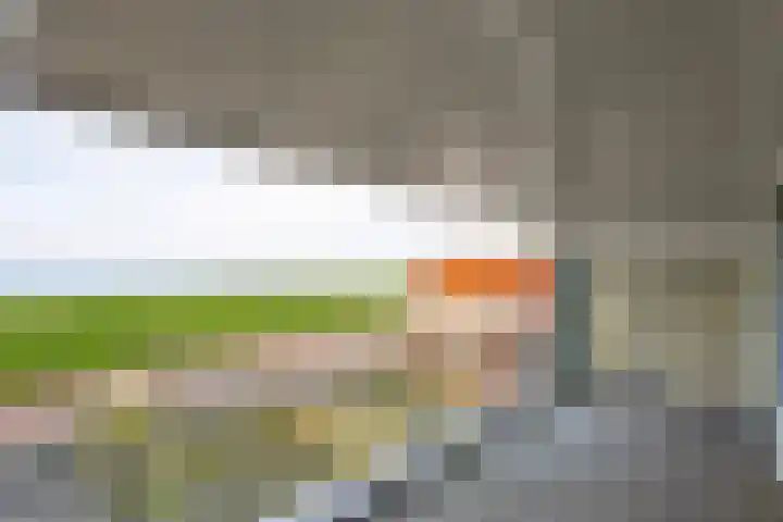 Buren 18 Gaast thumbnail 20