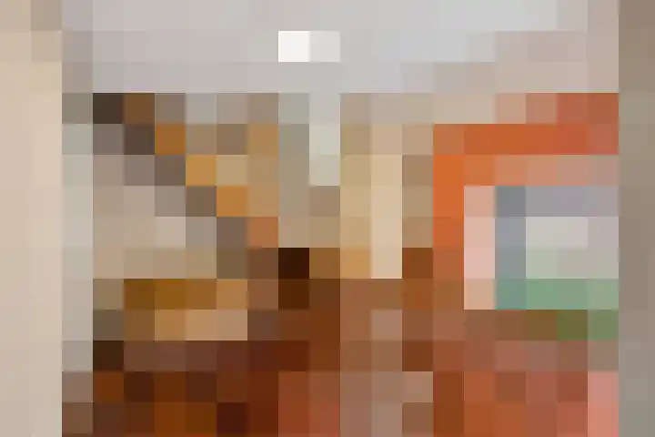 Buren 18 Gaast thumbnail 31