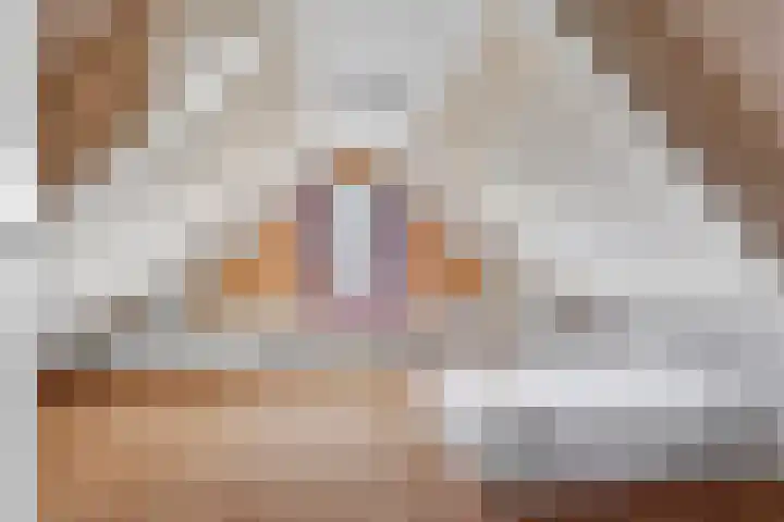 Buren 18 Gaast thumbnail 32