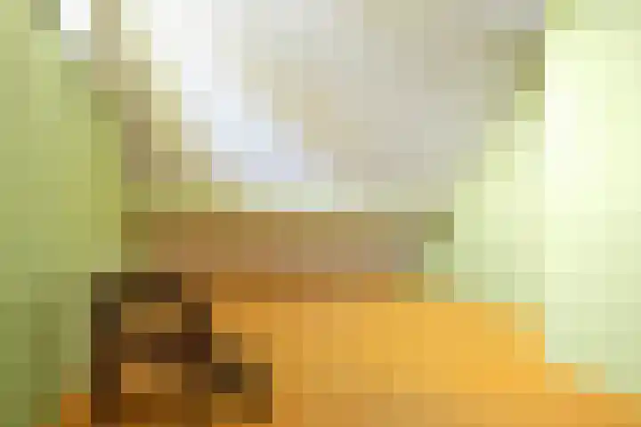 Buren 18 Gaast thumbnail 34