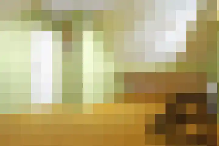 Buren 18 Gaast thumbnail 35