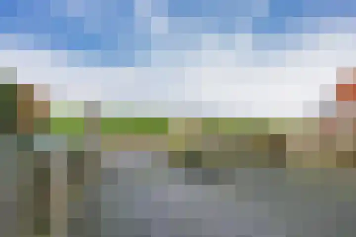 Buren 18 Gaast thumbnail 38