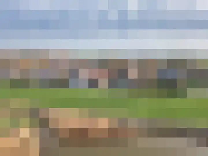 Buren 18 Gaast thumbnail 45
