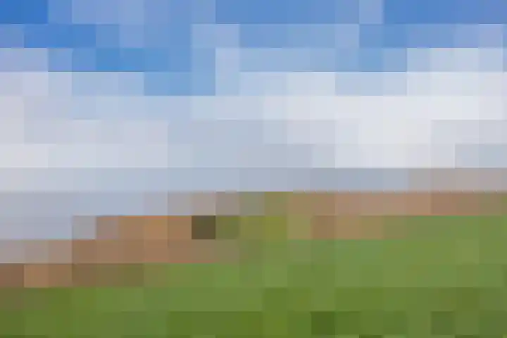 Buren 18 Gaast thumbnail 48