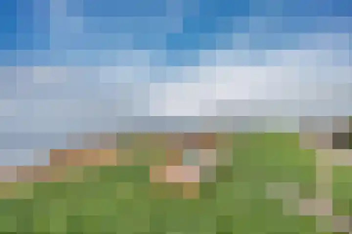 Buren 18 Gaast thumbnail 49