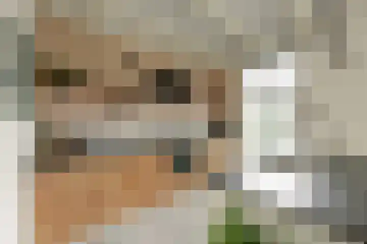 Buren 19 Ferwoude thumbnail 14