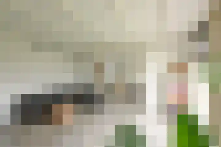 Buren 19 Ferwoude thumbnail 19