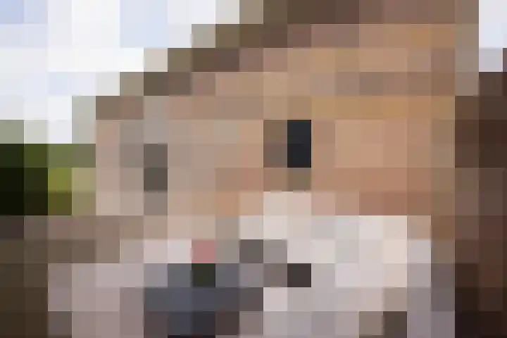 Buren 19 Ferwoude thumbnail 26