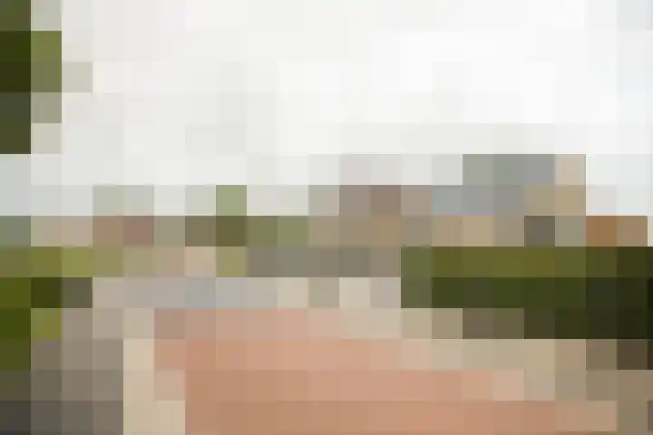 Buren 19 Ferwoude thumbnail 37