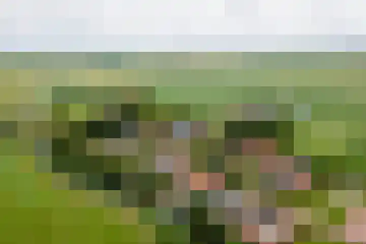 Buren 19 Ferwoude thumbnail 41
